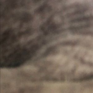 Meet your Posher, Aya